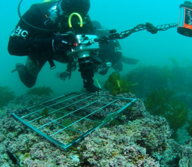 해양생태환경 1.jpg