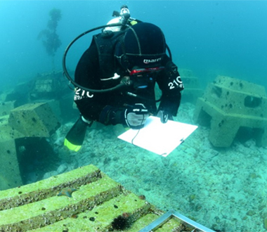 해양생태환경 4.jpg